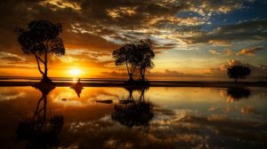 Lazar Berman - Scriabin - Piano Sonata No 4 in F-sharp major, Op 30