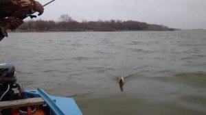 Рыбалка на ерике Кирпичный, база "Клевый берег"