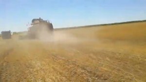 Пересушенное зерно с низкой урожайностью. Уборка ячменя 2019 год