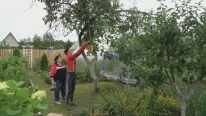 6 соток 19 июля 2023 года Хроника