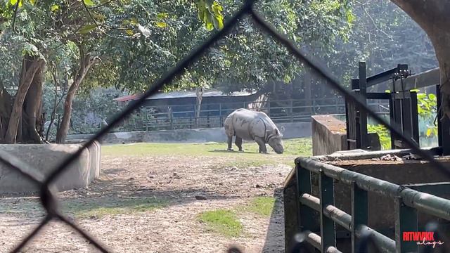 places to visit in kolkata | bengali vlog #bengalivlog 🦁