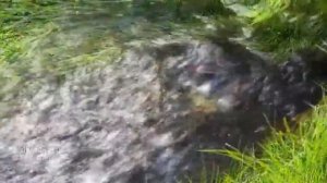 Александр Суханов - Апрель