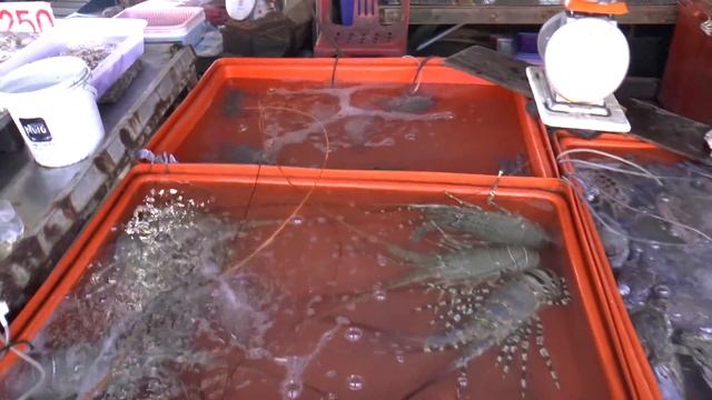 Цены на морепродукты, рыбный рынок, пляж Раваи. Пхукет. Таиланд