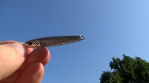 Как ловить саргана на металлические приманки?Теория и практика.