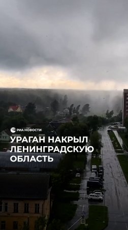 Ураган накрыл Ленинградскую область