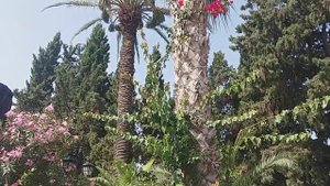 Hotel Incekum Su Alanya Avsallar 11.07.2019