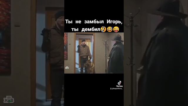 пёс-смешные моменты ??? смотреть онлайн