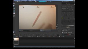 Обзор программы AnimaShooter Capture 3.7.5.9