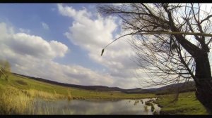 Ароматное Белогорский район Крым