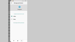 Как исправить голосовые сообщения Telegram, которые не отображаются/работают | Исправить голосовые