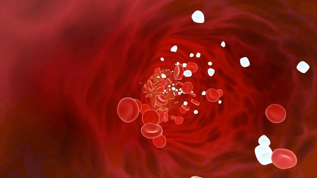 How to BANISH Menopausal BELLY FAT Forever! смотреть онлайн