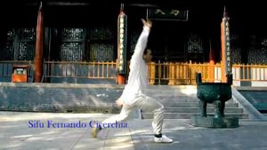 Luohan Shi Ba Zhang - Sifu Fernando Cicerchia
