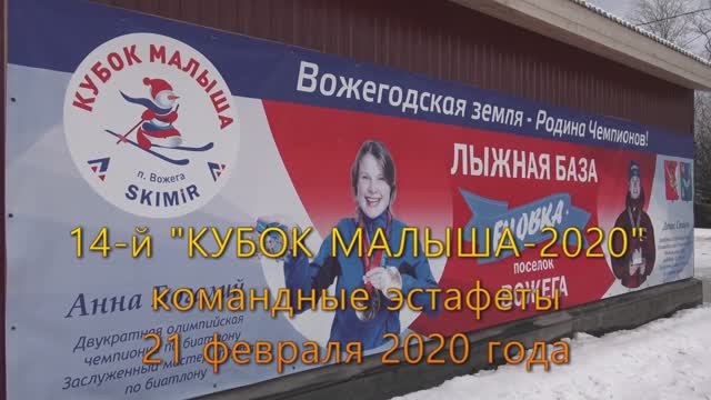 Кубок малыша вожега 2024