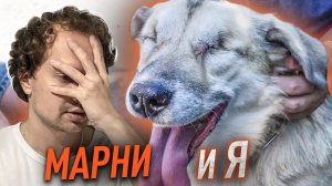 УДИВИТЕЛЬНАЯ история Марни! // Самая трогательная дружба человека и пса!