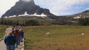 Glacier's Going to the Sun Road, Travel Guide