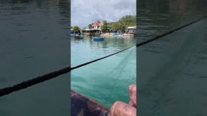 НА КАКИЕ ЭКСКУРСИИ ПОЕХАТЬ ВО ВЬЕТНАМЕ | ФУЕН, ЮЖНЫЕ ОСТРОВА, БАХО+ЗОКЛЕТ