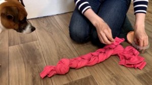 Развивающая игра для собак Косичка. DIY dog brain games