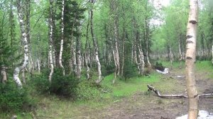 Ивановские озера 2020