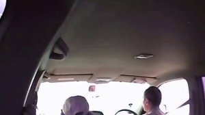 Шок! Прыжок ядовитой змеи-медянки в открытое окно автомобиля на ходу.