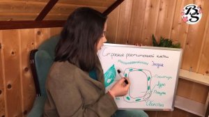 СТРОЕНИЕ РАСТИТЕЛЬНОЙ КЛЕТКИ