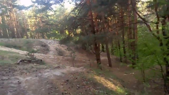 Родноверие,правое-Славянское единство и лес. Философия