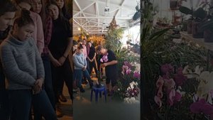 Как правильно ухаживать за орхидеей в горшке после покупки?