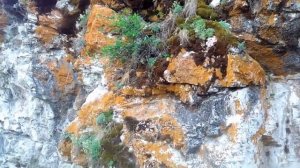 Сплав по реке. Река Исеть