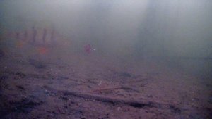 Подводное видео. Зимняя рыбалка на карася и окуня.