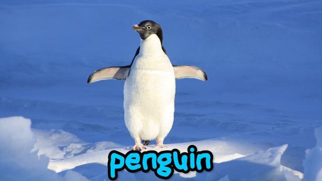 Learning Zoo Animals Names for Children - First Words for Toddlers, Babies, Kindergarten, Kids смотреть онлайн