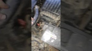 замена масла акпп.хендай соната ,,тагаз"