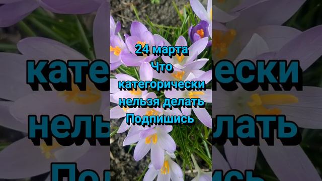 #shоrts #24марта #предсказание #прогноз #удача #успех #сейчас #весна