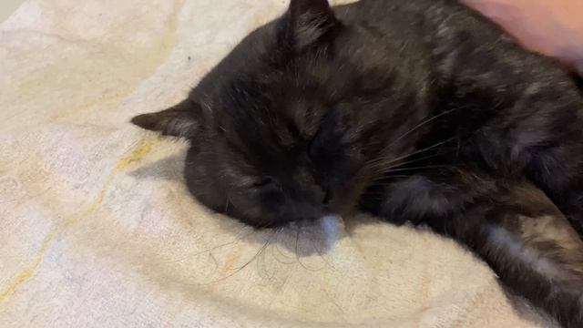 Мыр даже не догадывается о чём речь, что бы он сказал? смотреть онлайн