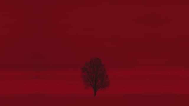 Wardruna - Skugge (Shadow) Official Music Video смотреть онлайн