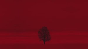 Wardruna - Skugge (Shadow) Official Music Video