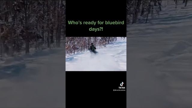 Let Em SING #arcticcat #CatClan #ridetheup #flatland #snowmobile #michigan #fyp #braap смотреть онлайн