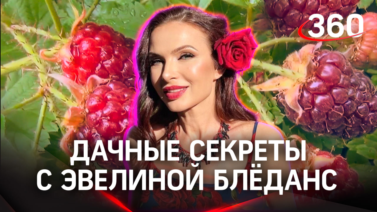 Заставьте помидоры покраснеть именно этим способом | Эвелина Бледанс «Дача 360»