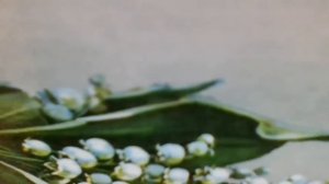 И не в этом дело,нет, не в этом дело,что тебя(Город огромный) к/ф"Центровой из поднебесья"(наброски