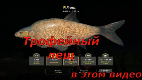 С.Острог-Трофейный ЛЕЩ#РусскаяРыбалка4#РР4#трофейныйлещ