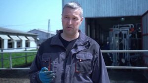 Как обрезать копыта корове? Рассказываем все о профилактике хромоты у крупного рогатого скота.