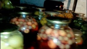 ВКУС ОГУРЦА св3506 в свежем виде и консервации