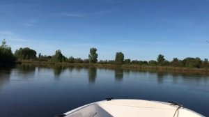 Лодка пингвин под мотором Сузуки. 9.9