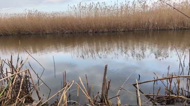 Рыбалка на щуку смотреть онлайн