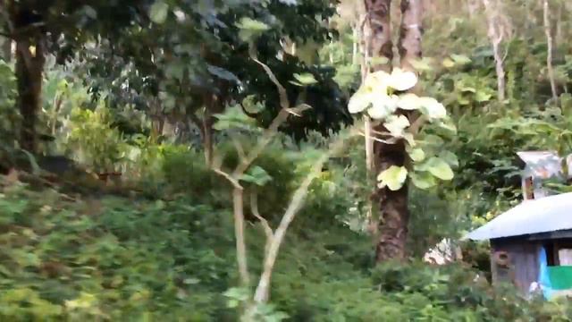 Статуя Будды. Šmürf в Тайланде😺👨👨👧👦 смотреть онлайн