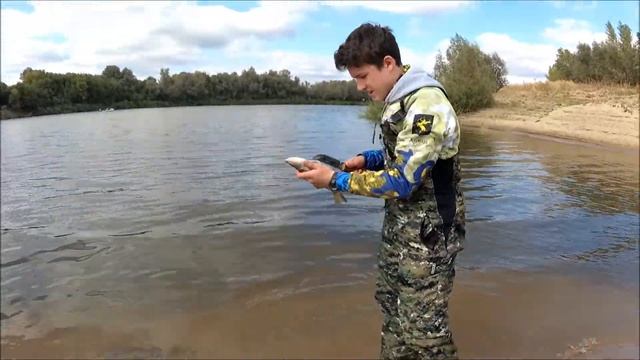 Берш на углях от Ромы и Коли ЛОМ 2017 смотреть онлайн