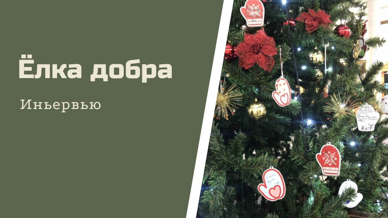 Интервью с организаторами акции "Елка добра" смотреть онлайн