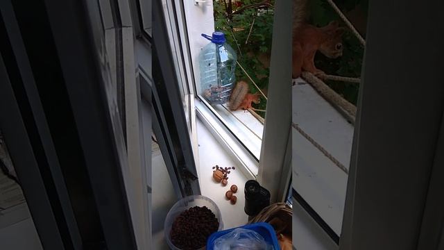 ЭЭЭЭЭксперимент!....признан неуспешным) смотреть онлайн