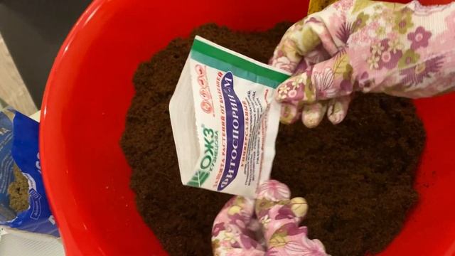 Готовлю грунт для рассады томатов и перцев. Часть 1