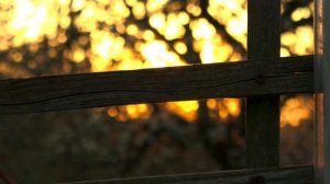 BMPCC6K  HDR  Sigma 50-500 mm f/4.5-6.3 APO HSM lens