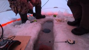 ЛЕНЕВСКОЕ ВОДОХРАНИЛИЩЕ! ПОПАЛИ НА АКТИВНЫЙ КЛЁВ ЩУКИ, СОРОГИ И ОКУНЯ! ЗИМНЯЯ РЫБАЛКА НА УРАЛЕ!