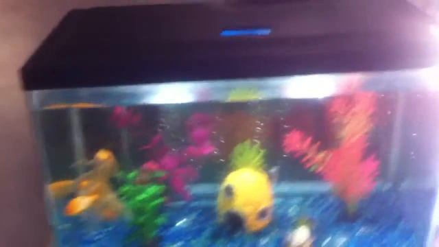 Update on my red eared slider/other info смотреть онлайн